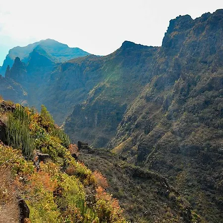 El Barranco De Adeje, Wifi Free Holiday home *